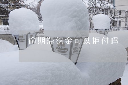 逾期滞纳金可以拒付吗 逾期滞纳金可以拒付吗