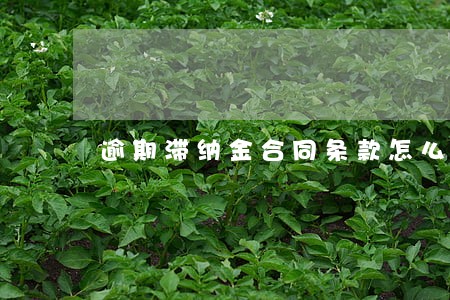 逾期滞纳金合同条款怎么写 逾期滞纳金合同条款怎么写