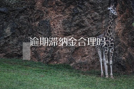 逾期滞纳金合理吗 逾期滞纳金合理吗