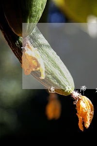逾期滞纳金和利息