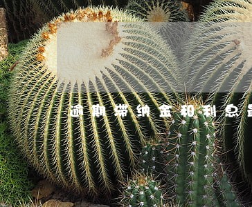 逾期滞纳金和利息最高 逾期滞纳金和利息最高