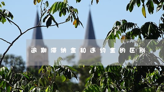 逾期滞纳金和违约金的区别 逾期滞纳金和违约金的区别