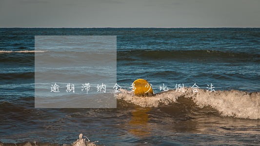逾期滞纳金多少比例合法 逾期滞纳金多少比例合法