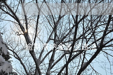 逾期滞纳金多少违法 逾期滞纳金多少违法