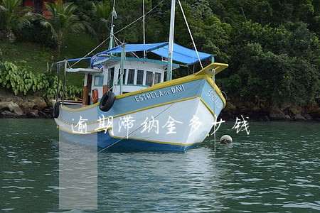 逾期滞纳金多少钱 逾期滞纳金多少钱