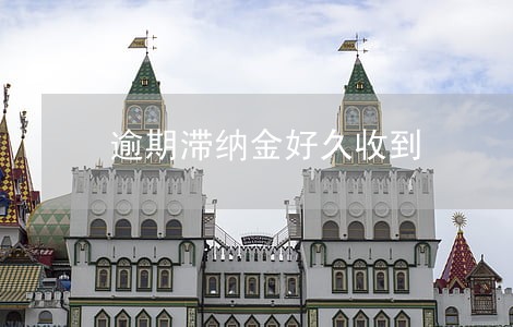 逾期滞纳金好久收到