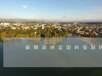逾期滞纳金如何强制执行 逾期滞纳金如何强制执行
