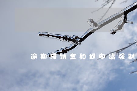 逾期滞纳金如何申请强制执行 逾期滞纳金如何申请强制执行