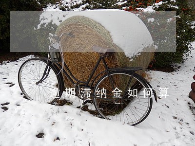 逾期滞纳金如何算 逾期滞纳金如何算