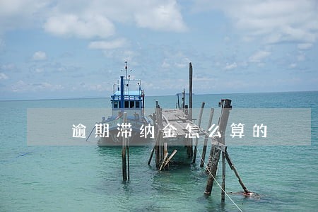 逾期滞纳金怎么算的 逾期滞纳金怎么算的