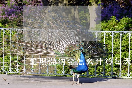 逾期滞纳金怎么计算每天翻倍吗 逾期滞纳金怎么计算每天翻倍吗