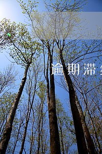 逾期滞纳金日利率 逾期滞纳金日利率
