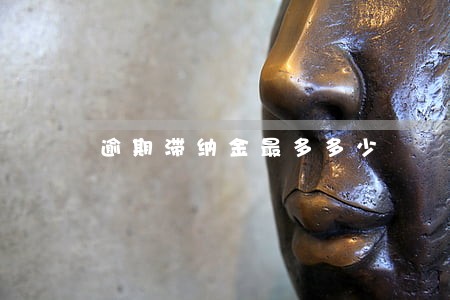 逾期滞纳金最多多少 逾期滞纳金最多多少
