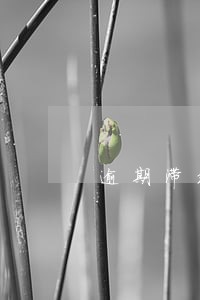 逾期滞纳金最高 逾期滞纳金最高
