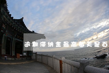 逾期滞纳金最高每天是百分之几 逾期滞纳金最高每天是百分之几