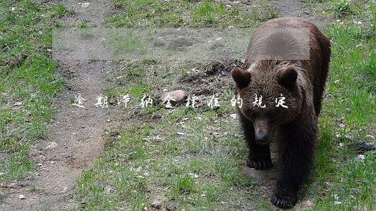 逾期滞纳金标准的规定 逾期滞纳金标准的规定