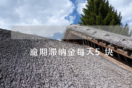 逾期滞纳金每天5块 逾期滞纳金每天5块
