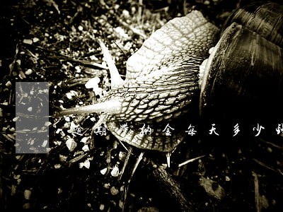 逾期滞纳金每天多少钱 逾期滞纳金每天多少钱