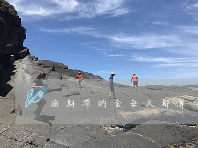 逾期滞纳金每天都算吗 逾期滞纳金每天都算吗