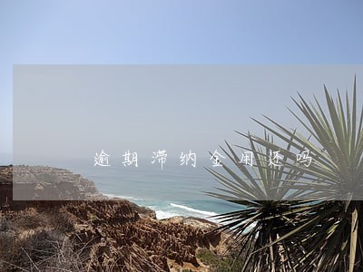 逾期滞纳金用还吗 逾期滞纳金用还吗