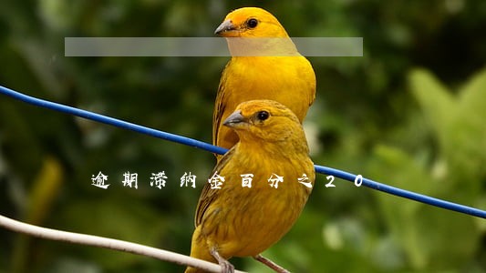 逾期滞纳金百分之20 逾期滞纳金百分之20