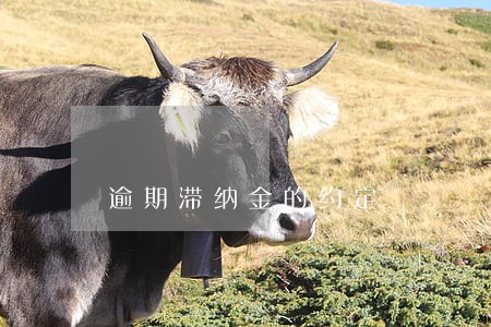 逾期滞纳金的约定 逾期滞纳金的约定