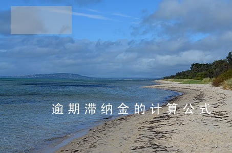 逾期滞纳金的计算公式 逾期滞纳金的计算公式