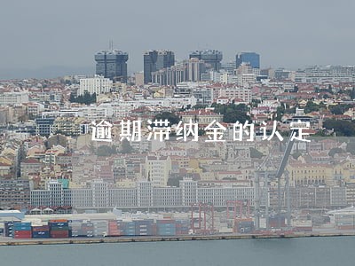 逾期滞纳金的认定 逾期滞纳金的认定