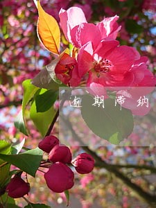 逾期滞纳金能不交吗 逾期滞纳金能不交吗