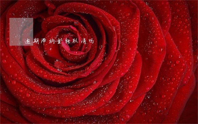 逾期滞纳金能取消吗 逾期滞纳金能取消吗
