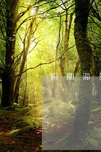 逾期滞纳金要回来了 逾期滞纳金要回来了