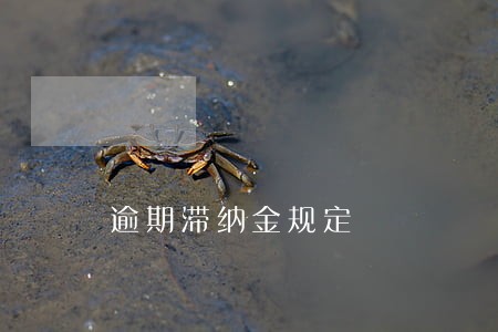 逾期滞纳金规定 逾期滞纳金规定