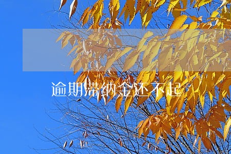逾期滞纳金还不起 逾期滞纳金还不起