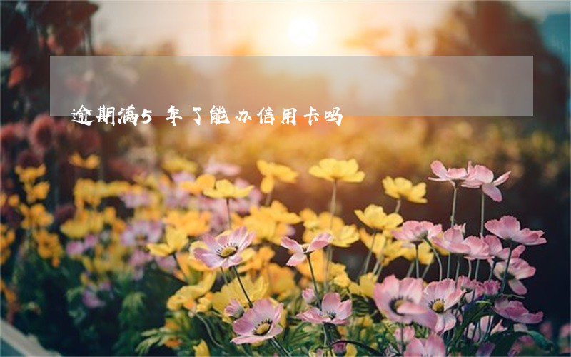 逾期满5年了能办信用卡吗 逾期满5年了能办信用卡吗