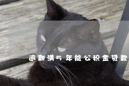逾期满5年能公积金贷款麽 逾期满5年能公积金贷款麽