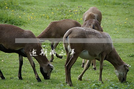 逾期满三年 逾期满三年