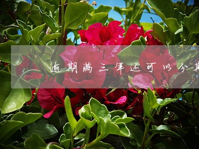 逾期满三年还可以分期吗 逾期满三年还可以分期吗