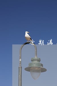 逾期满五年仍然没有清除记录 逾期满五年仍然没有清除记录