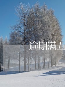 逾期满五年后 逾期满五年后