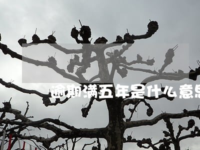 逾期满五年是什么意思 逾期满五年是什么意思