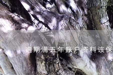 逾期满五年账户资料该保留吗 逾期满五年账户资料该保留吗