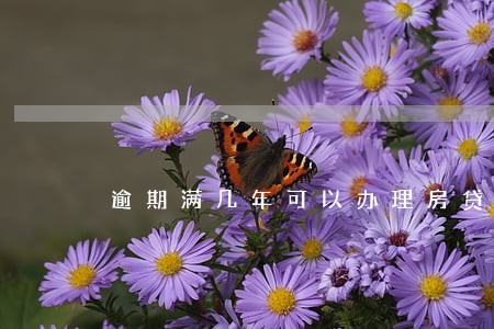 逾期满几年可以办理房贷 逾期满几年可以办理房贷