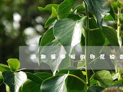 逾期漏申报的印花税会被罚款吗 逾期漏申报的印花税会被罚款吗