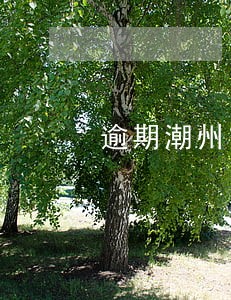 逾期潮州东方银谷会上门吗 逾期潮州东方银谷会上门吗