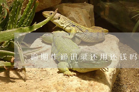 逾期炸通讯录还用还钱吗 逾期炸通讯录还用还钱吗