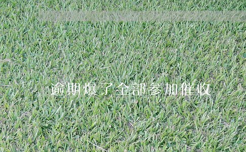 逾期爆了全部参加催收 逾期爆了全部参加催收