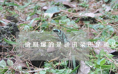 逾期爆的是通讯录还是通话记录 逾期爆的是通讯录还是通话记录