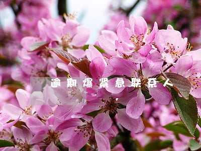 逾期爆紧急联系人