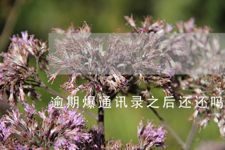 逾期爆通讯录之后还还吗 逾期爆通讯录之后还还吗