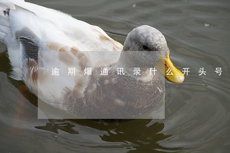 逾期爆通讯录什么开头号码 逾期爆通讯录什么开头号码